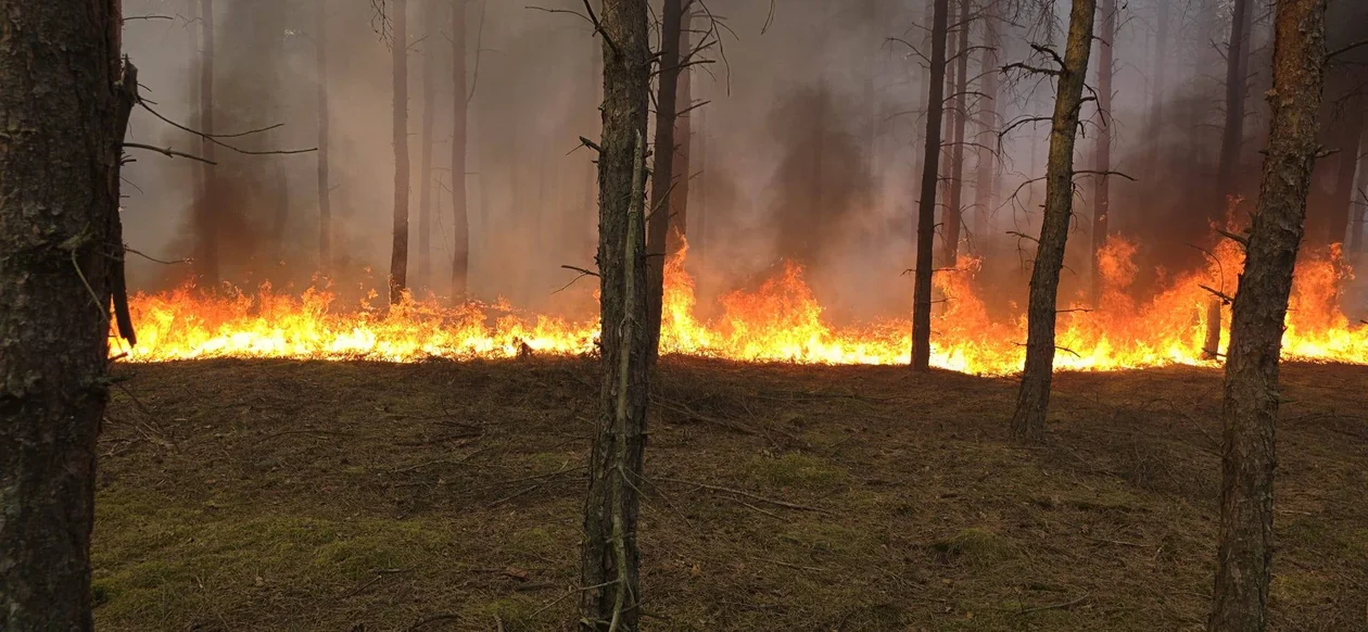 Wielki pożar w Biernatowie