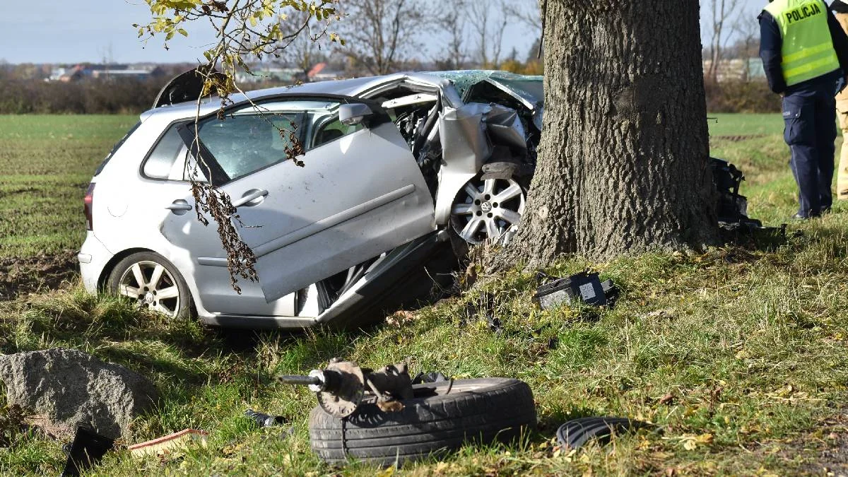 23-latka uderzyła autem w drzewo. Kierującą, kompletnie zniszczonym volkswagenem, przewieziono do szpitala - Zdjęcie główne