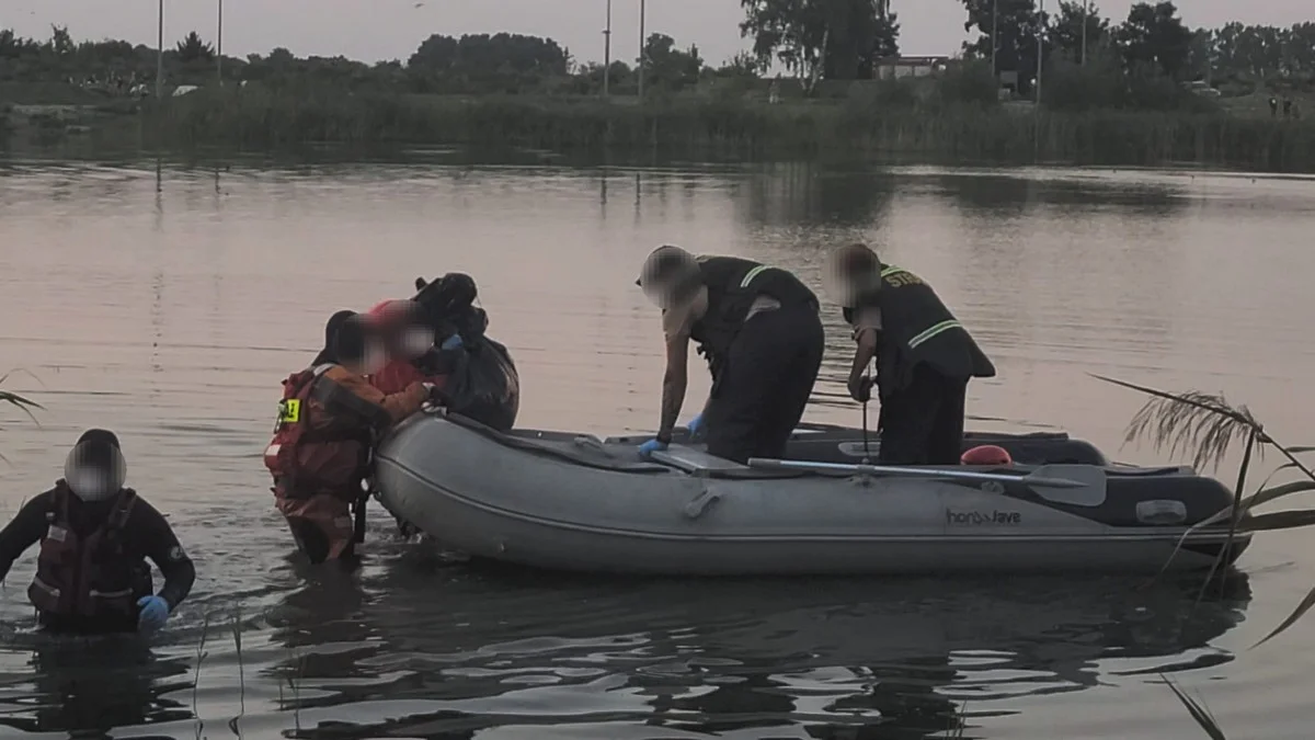 Martwy łabędź na poligonie. Do jego śmierci przyczynili się ludzie? - Zdjęcie główne