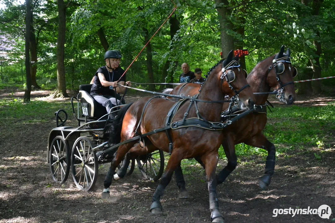 Rokosowo Horse Show 20224 - Konie i Powozy na Zamku Wielkopolskim w Rokosowie