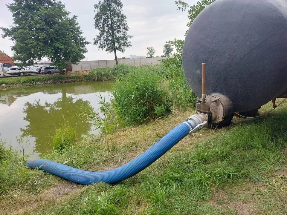 Rewitalizacja stawów w Strzelcach Wielkich i Strzelcach Małych