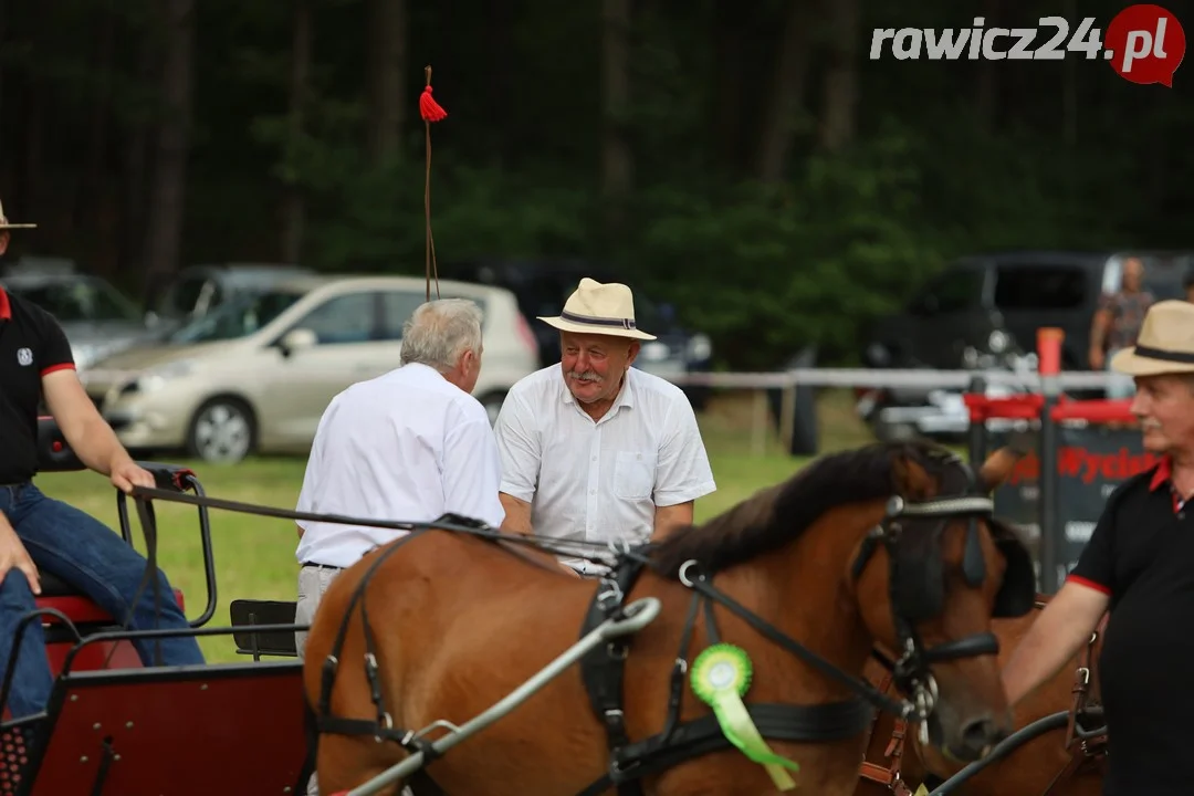 Zawody konne w Pakosławiu