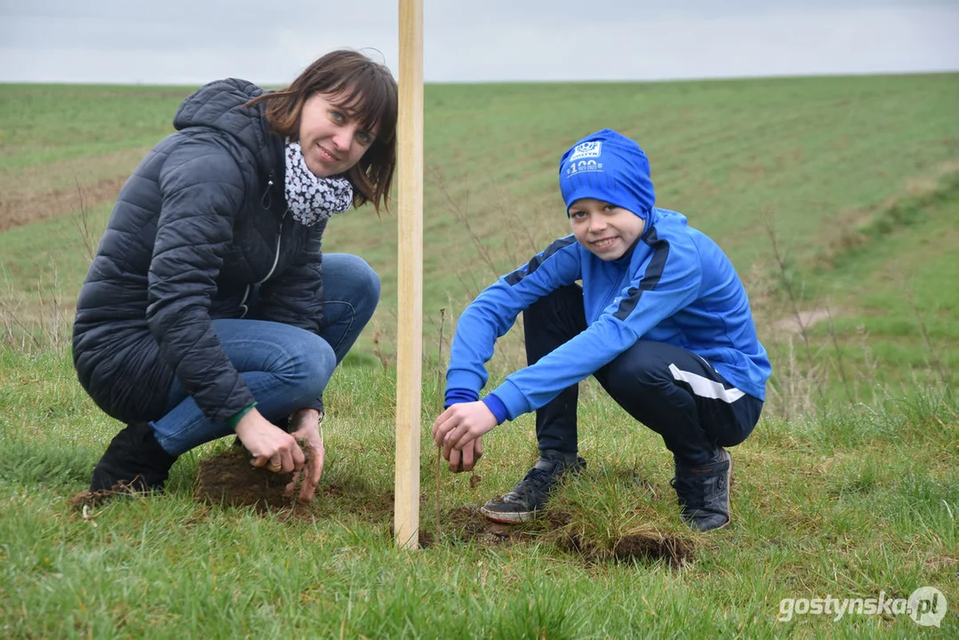Sadzenie drzewek na 100-lecie Kani Gostyń