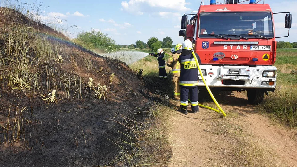 Pożar trawy w Kuźni