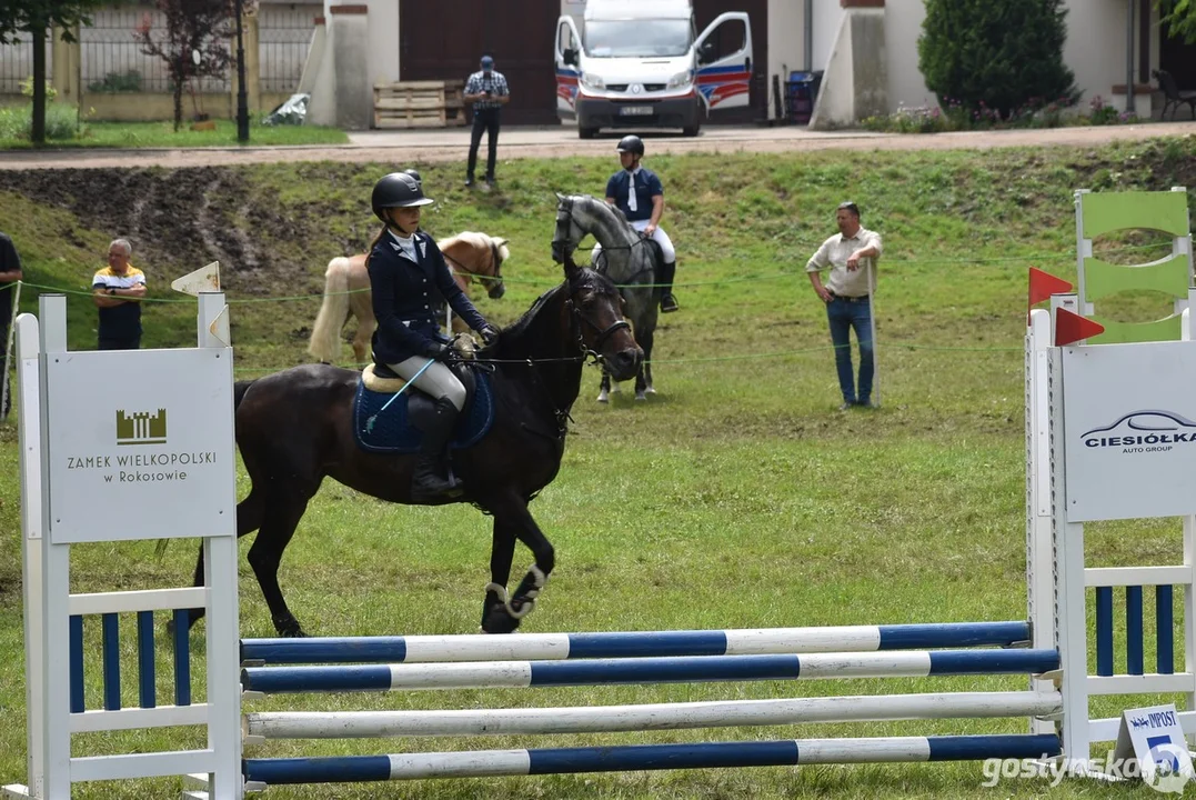 Rokosowo Horse Show - dzień drugi