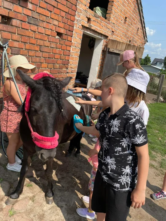 Krotoszyn. Letnie Półkolonie z Wodnikiem