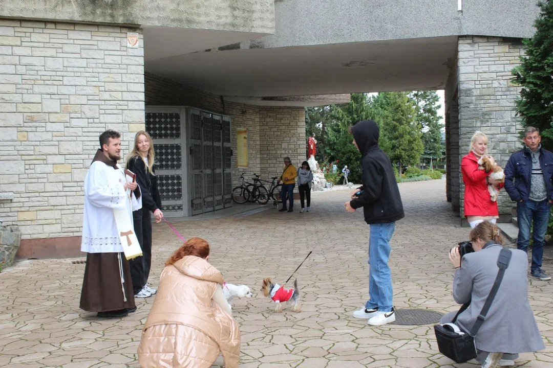 U franciszkanów w Jarocinie z okazji odpustu błogosławiono zwierzęta