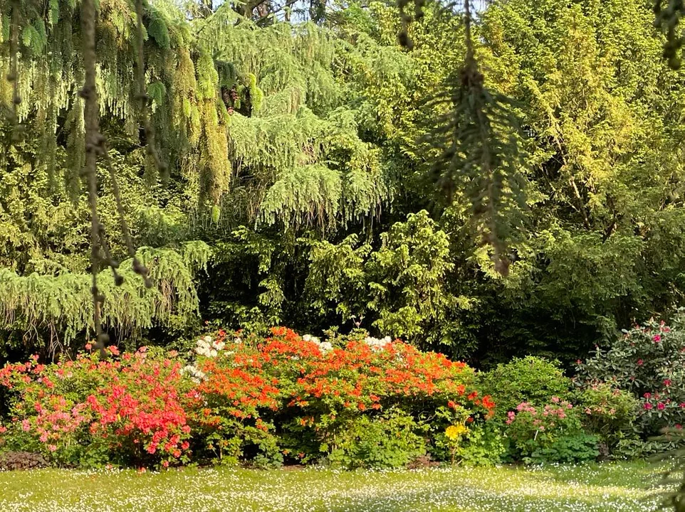 Arboretum Kórnickie