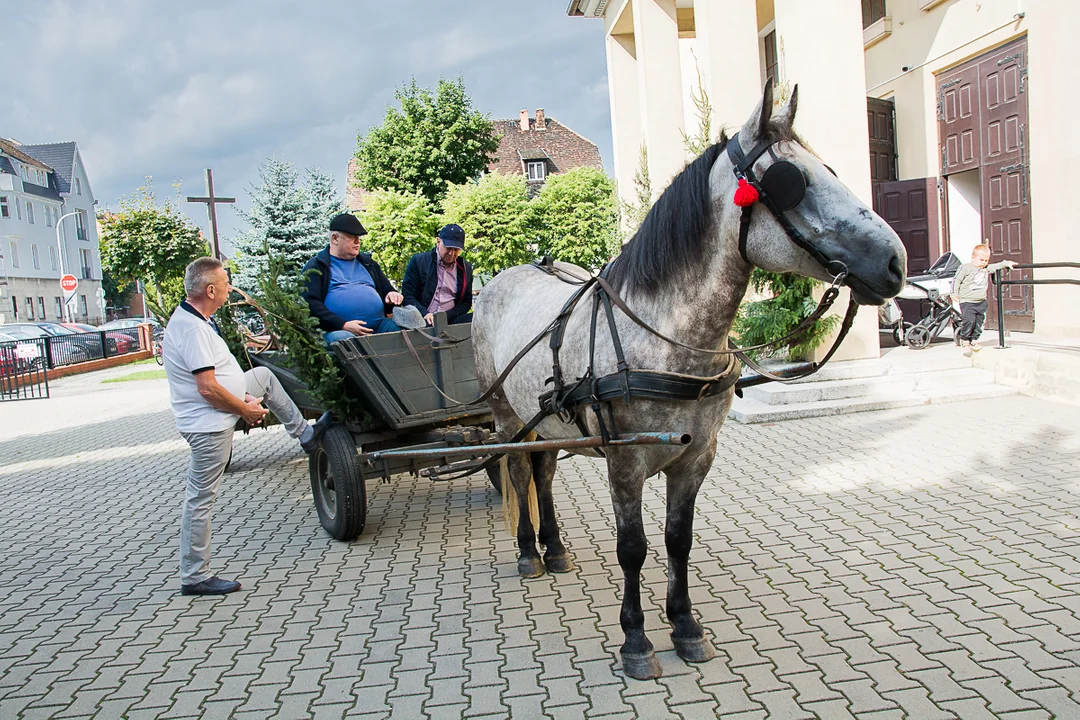 Dożynki Gminne Jrocin 2023