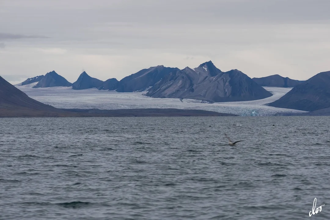 Wyprawa pleszewian na Spitsbergen