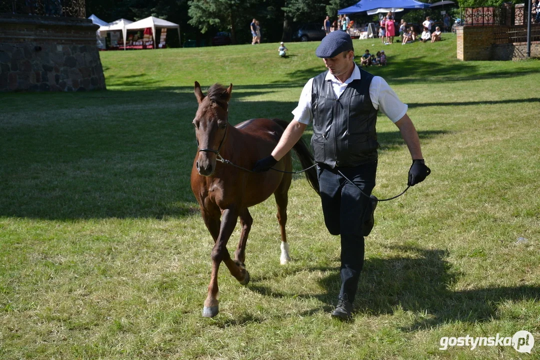 Rokosowo Horse Show 20224 - Konie i Powozy na Zamku Wielkopolskim w Rokosowie