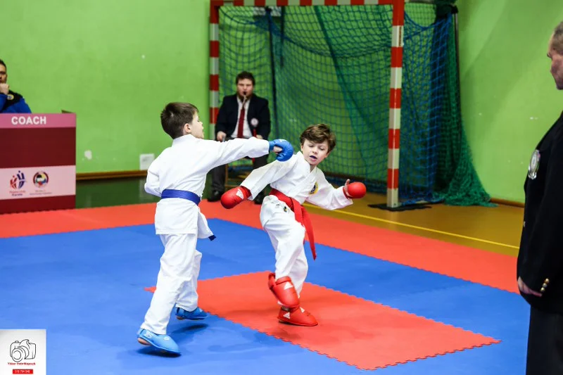 Kobylin. Turniej Karate o Puchar Burmistrza