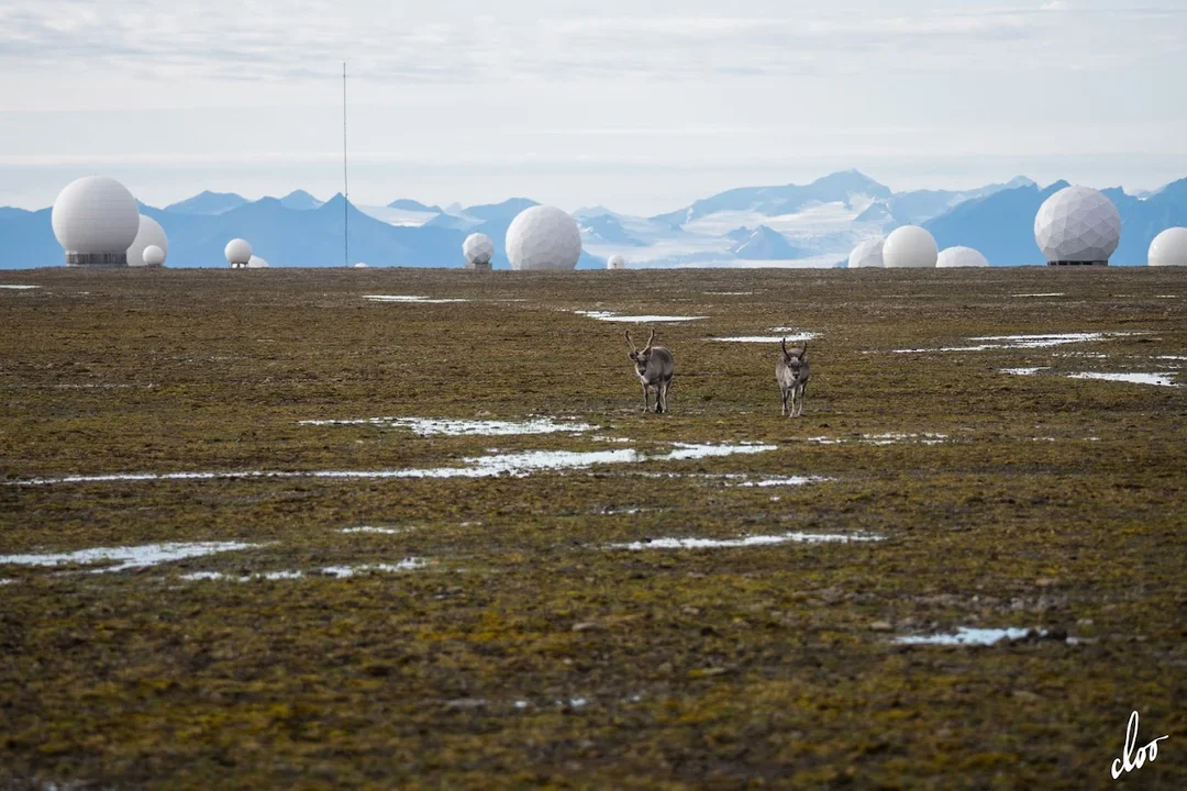 Wyprawa pleszewian na Spitsbergen