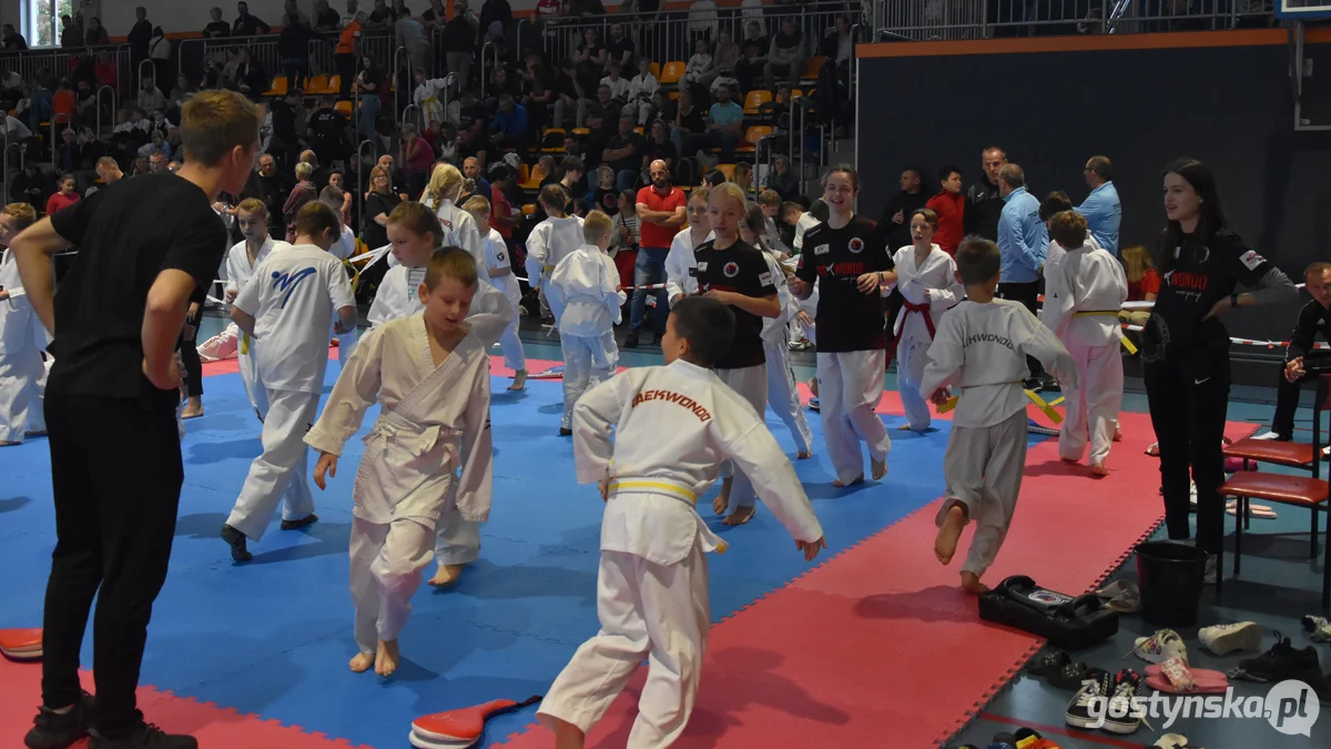 Grand Prix Wielkopolski w Taekwondo Olimpijskim