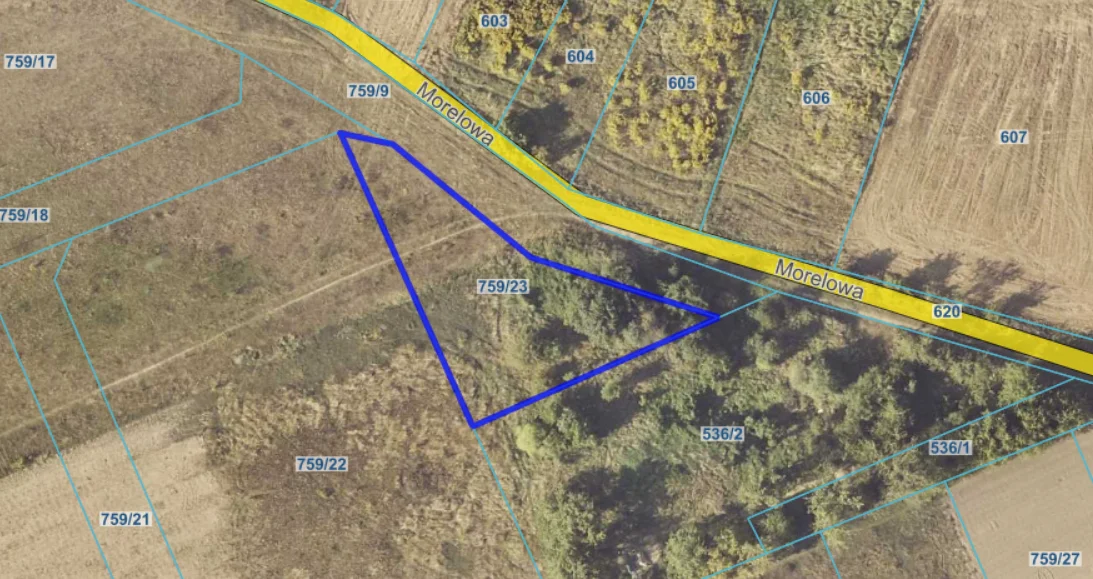 Gmina sprzedaje działki w centrum miasta. Zobacz te ceny - Zdjęcie główne