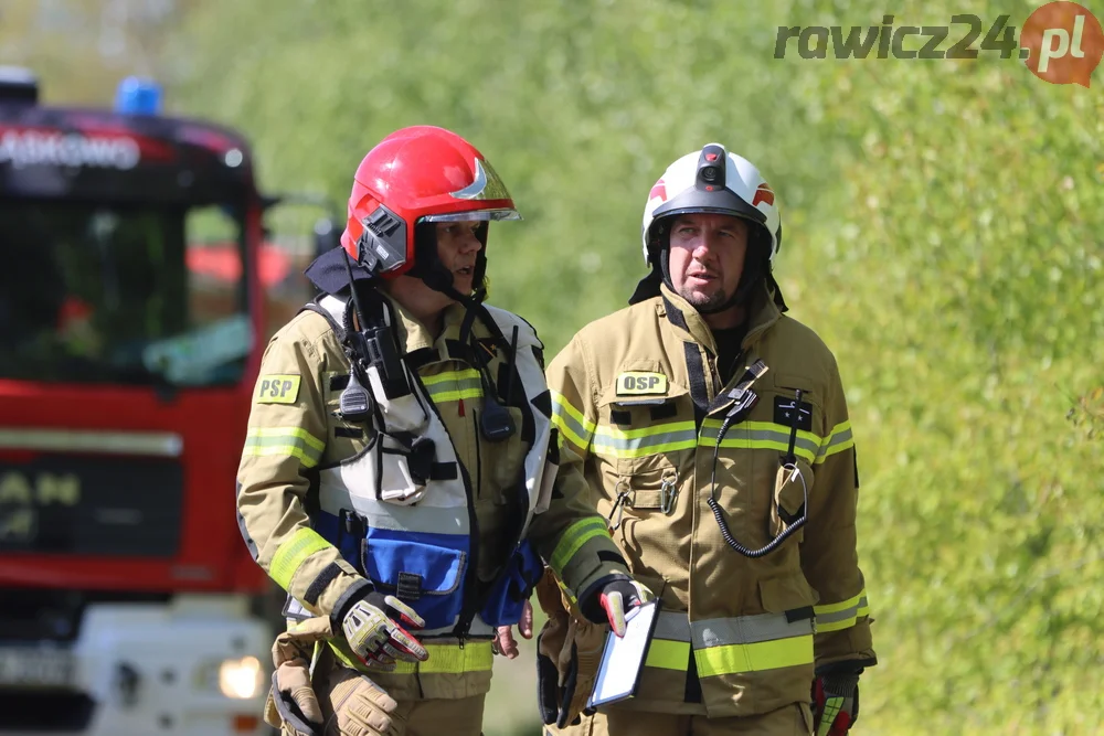 Pożar w lesie pomiędzy Zieloną Wsią a Dębnem Polskim