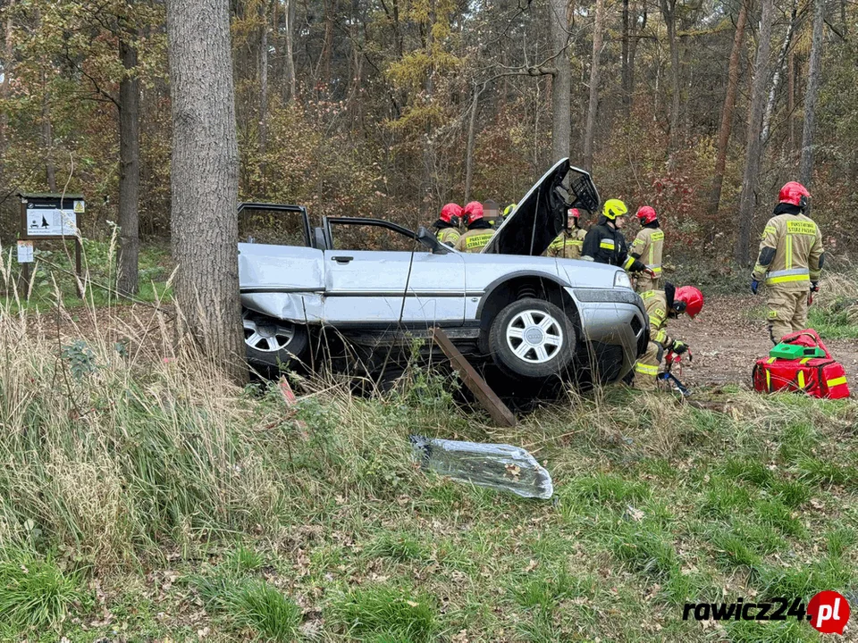 Wypadek na trasie Annopol-Jagodnia. Strażacy wydobyli poszkodowanego z pojazdu - Zdjęcie główne