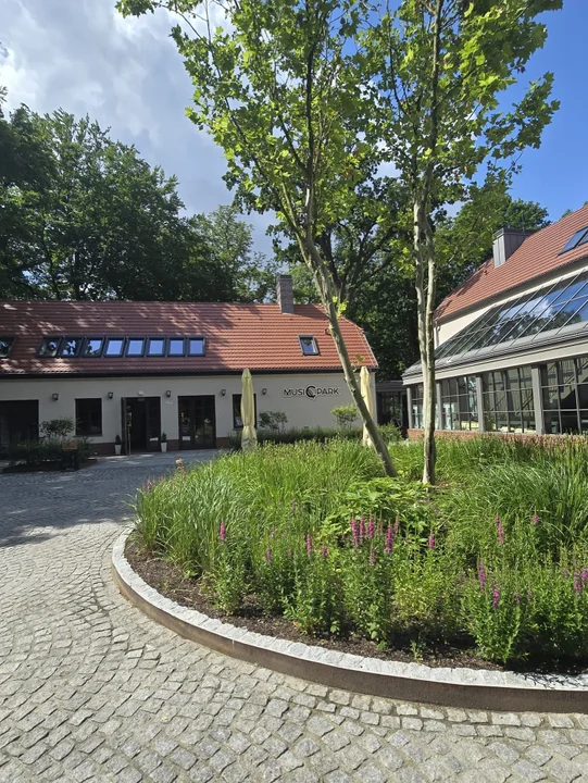 Music Park Jarocin - wyjątkowe smaki, których nie znajdziesz nigdzie indziej