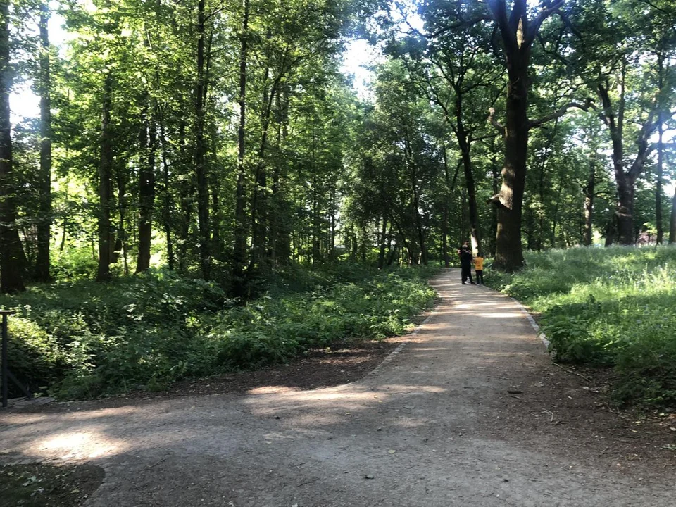 Park przy ulicy Szubianki w Jarocinie zyskał oficjalną nazwę. Mieszkańcy wybrali, a radni zaakceptowali [ZDJĘCIA] - Zdjęcie główne