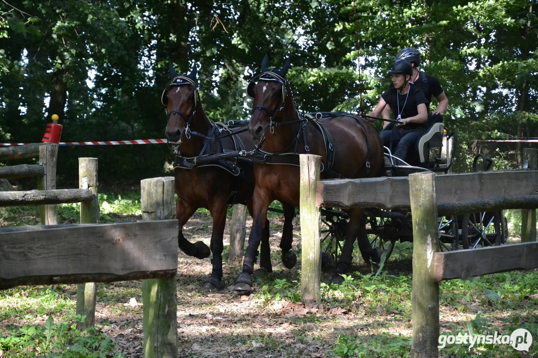 Rokosowo Horse Show 20224 - Konie i Powozy na Zamku Wielkopolskim w Rokosowie