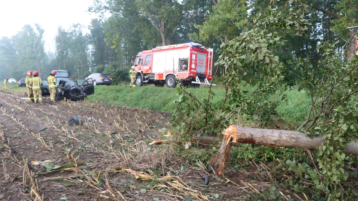 Uderzył w drzewo na trasie Annopol - Jagodnia