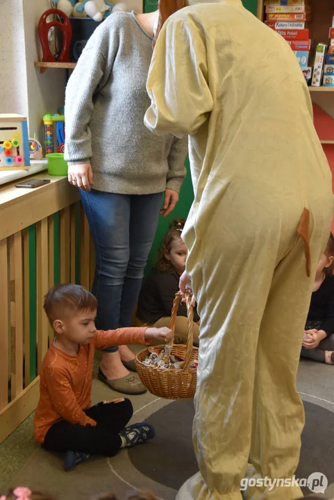 Zając w przedszkolach. Akcja Młodzieżowej Rady Miejskiej w Gostyniu