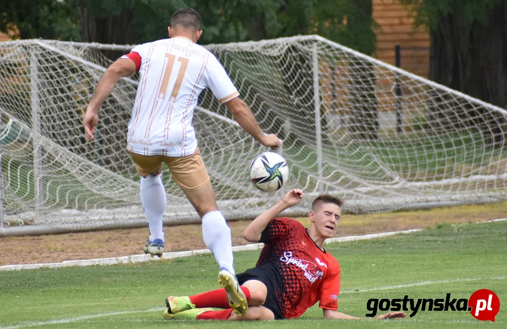 Wisła Borek Wielkopolski - Lider Swarzędz 2 : 0