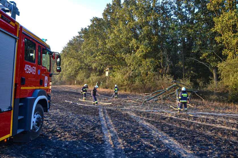 Ekwiwalent dla strażaków z OSP