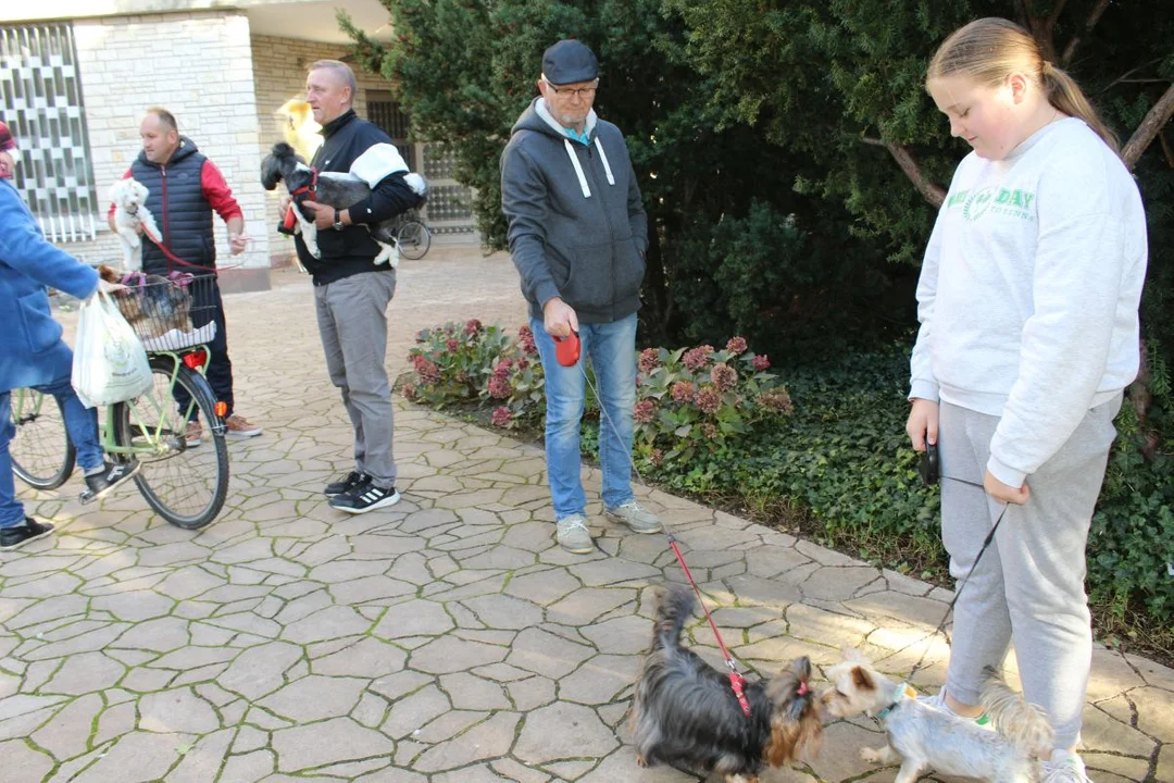 Franciszkanie w Jarocinie. Odpust św. Franciszka z Asyżu