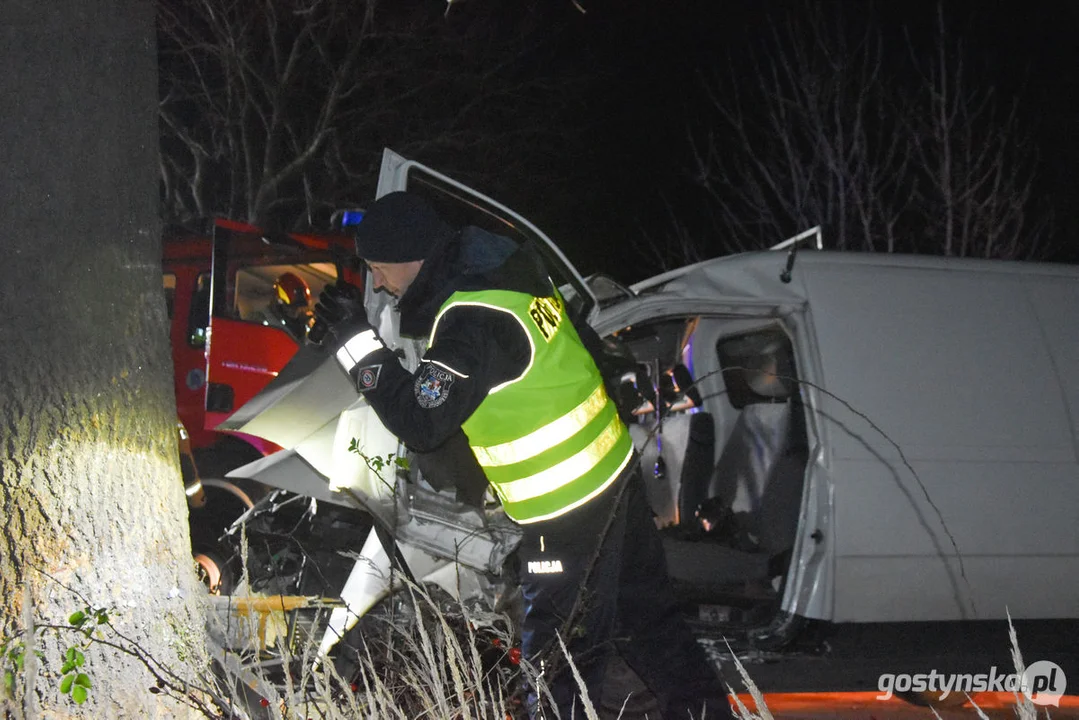 Czołówka z drzewem. Wypadek w Grodzisku (gm. Poniec)