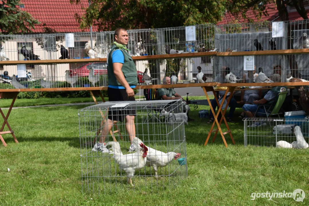 Dożynki Gminne w Pogorzeli 2024