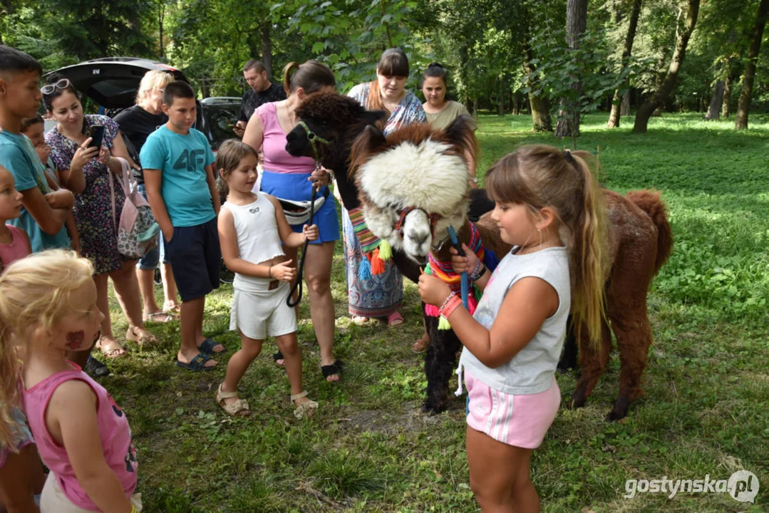 Rodzinny piknik w Pogorzeli - z alpakami i kamykami