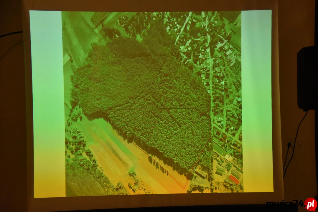 Nekropolia komunalna ma powstać w części terenu leśnego