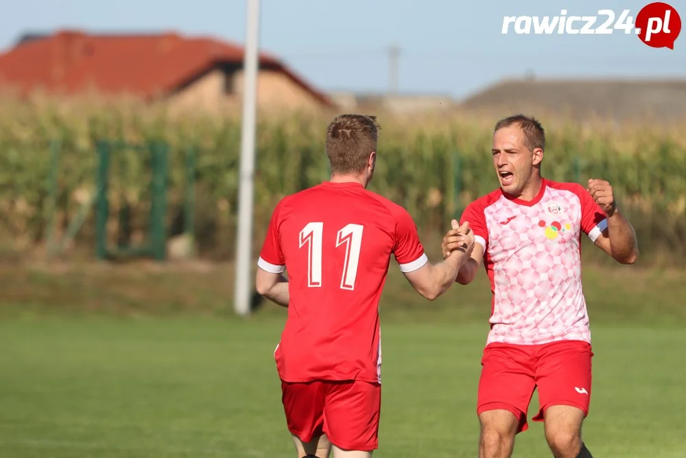 Awdaniec Pakosław - Wisła Borek Wielkopolski 2:5