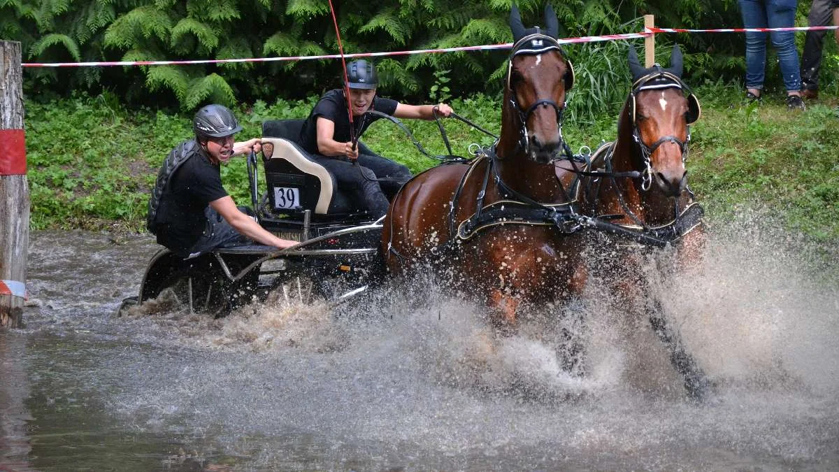 Rokosowo Horse Show na Zamku Wielkopolskim w Rokosowie 2024. Konie i Powozy wracają po latach w nowej odsłonie - Zdjęcie główne