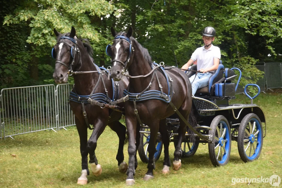 Rokosowo Horse Show 2024 - dzień pierwszy