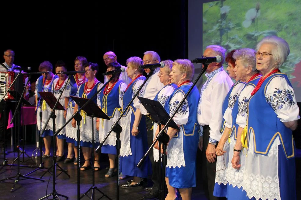 V Festiwal Piosenki Biesiadnej i Ludowej w Jarocinie