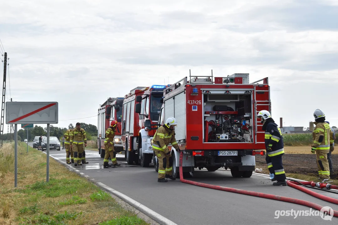 Pożar ścierniska w Daleszynie