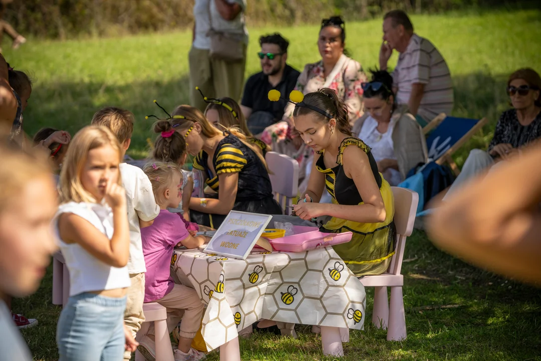 Wielkopolski Dzień Pszczół w Kaliszu. Tłumy odwiedzających, piękna pogoda i wiele atrakcji [ZDJĘCIA] - Zdjęcie główne