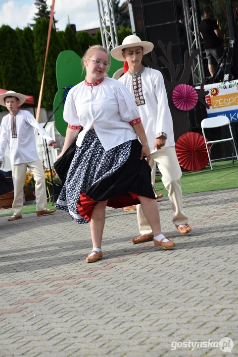 18. Prezentacje Zespołów Ludowych Wielkopolski w Borku Wlkp.