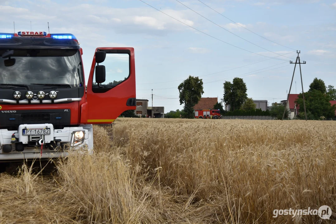 Pożar zboża w Poniecu i Kuczynie