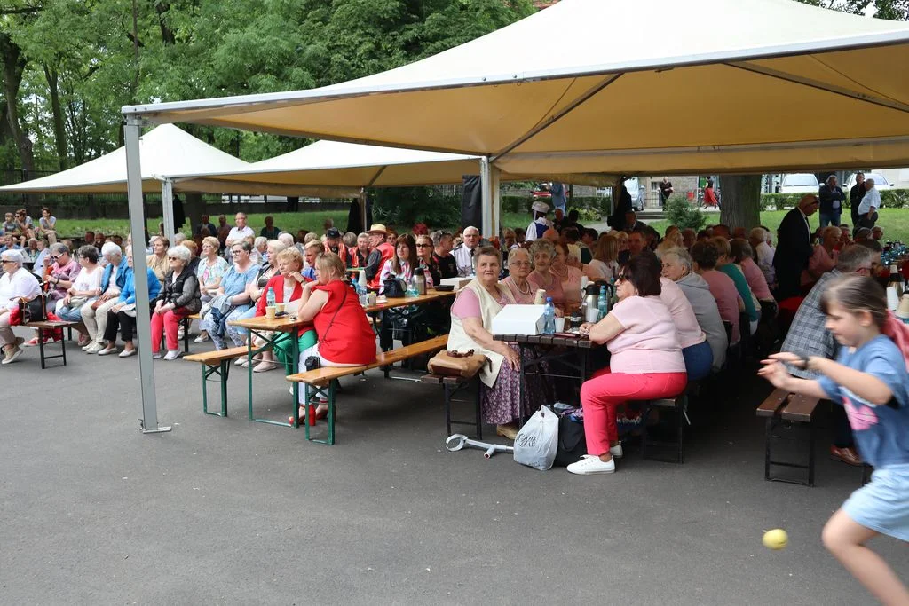 Biesiada Seniora w Koźminie Wlkp. [ZDJĘCIA] - Zdjęcie główne