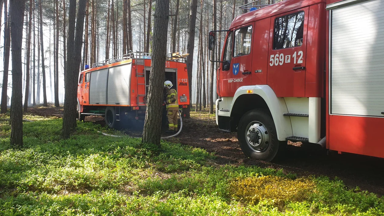 Gasili pożar lasu w Nowolipsku