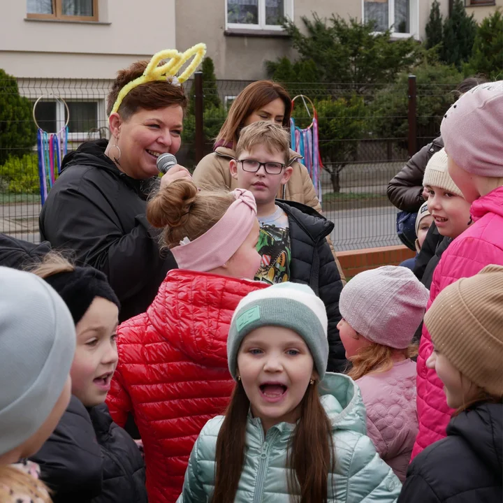 Zajączek w Kobylinie