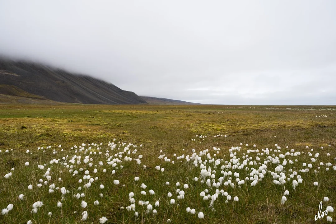 Wyprawa pleszewian na Spitsbergen