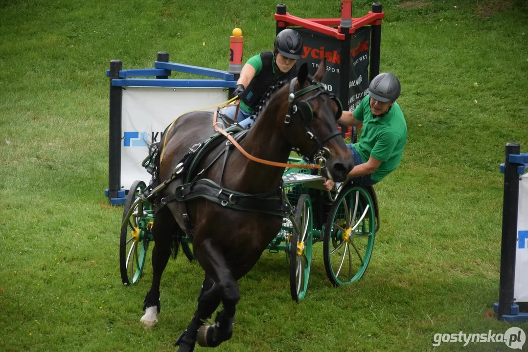 Rokosowo Horse Show 2024 - dzień pierwszy