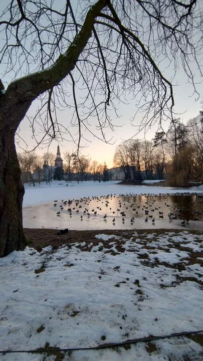 Powiatowy Konkurs Fotograficzny „Cztery Pory Roku”