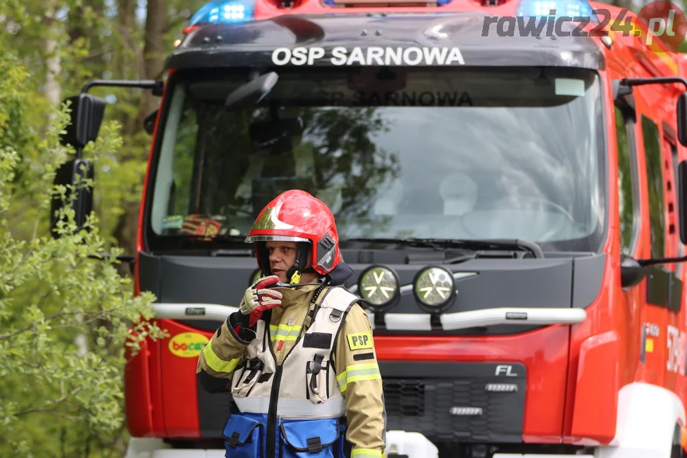 Pożar w lesie pomiędzy Zieloną Wsią a Dębnem Polskim