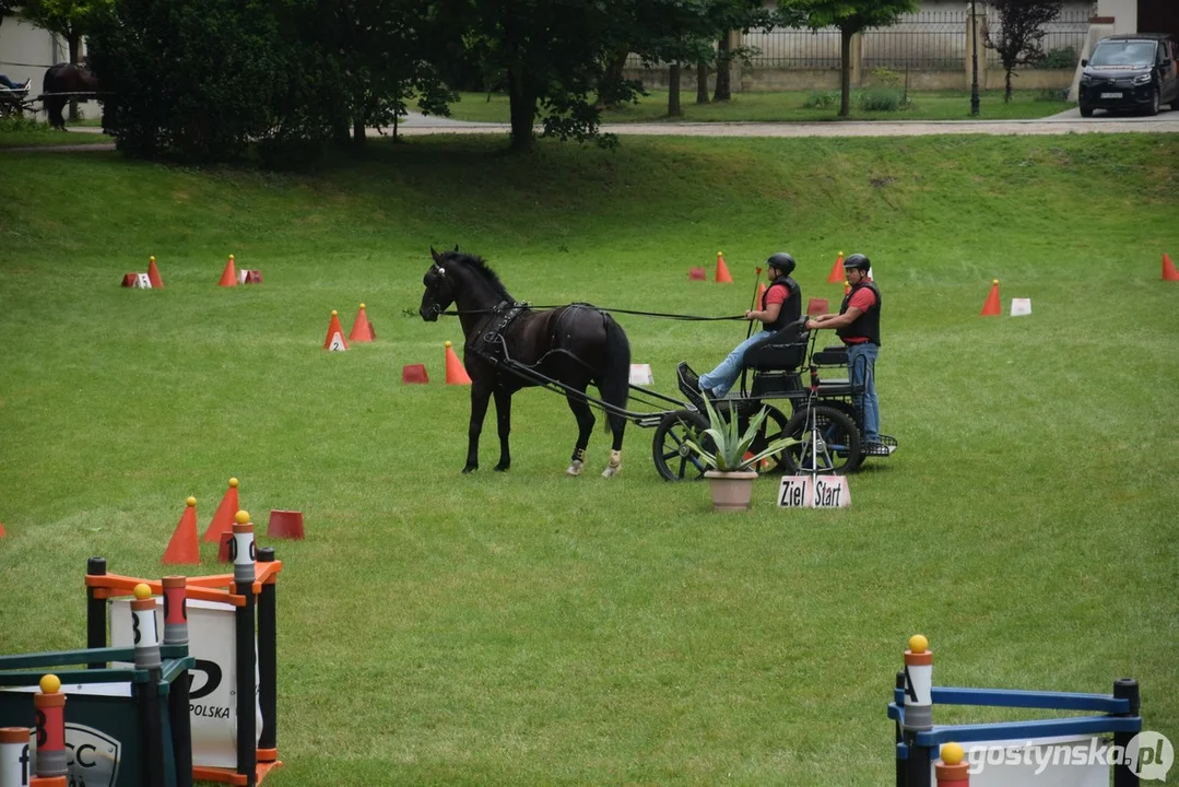 Rokosowo Horse Show 2024 - dzień pierwszy