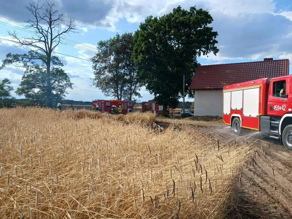 Pożar w Boguszynku w gminie Nowe Miasto